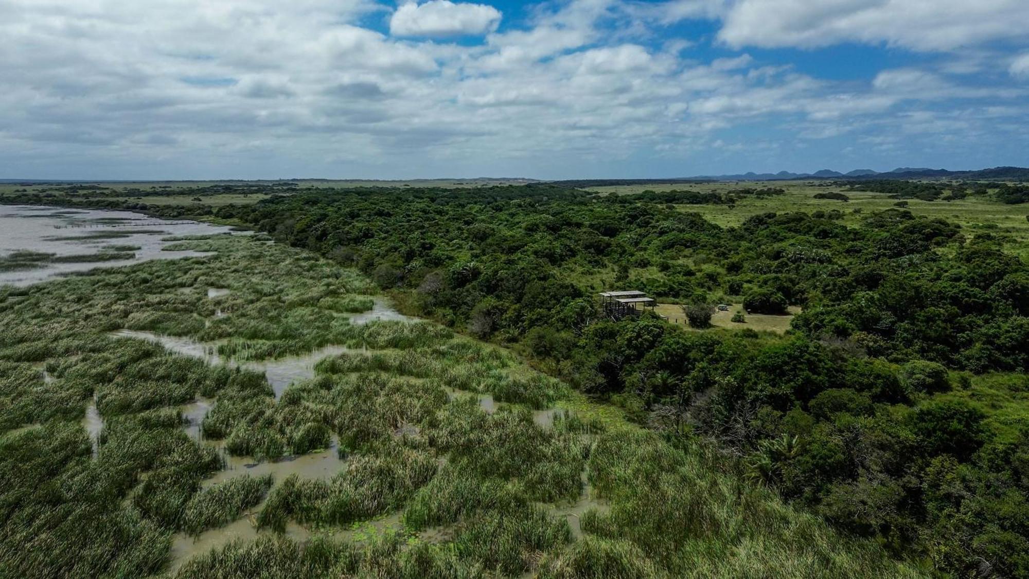 Luxury Tented Village @ Urban Glamping Saint Lucia Estuary Exteriör bild