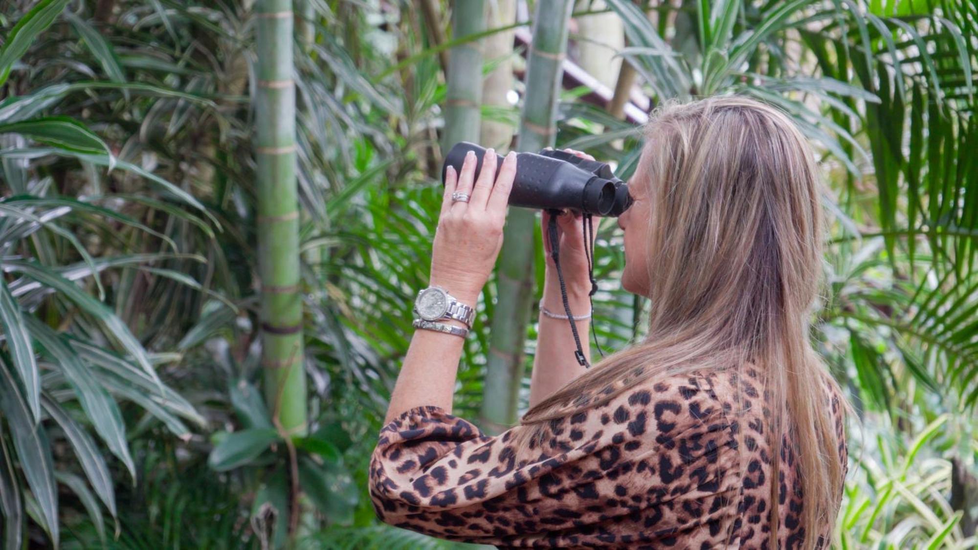 Luxury Tented Village @ Urban Glamping Saint Lucia Estuary Exteriör bild